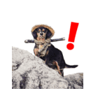 Samurai dog masamune（個別スタンプ：5）