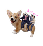 桜丸（個別スタンプ：1）