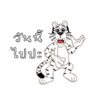 Big White Tiger（個別スタンプ：24）