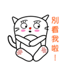 socks socks cats（個別スタンプ：19）