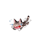 pipi cat（個別スタンプ：1）