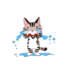 pipi cat（個別スタンプ：2）