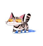 pipi cat（個別スタンプ：8）