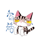 pipi cat（個別スタンプ：11）