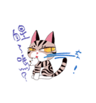 pipi cat（個別スタンプ：15）