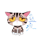 pipi cat（個別スタンプ：16）