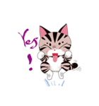 pipi cat（個別スタンプ：18）