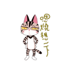 pipi cat（個別スタンプ：26）