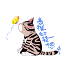 pipi cat（個別スタンプ：27）