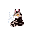pipi cat（個別スタンプ：29）