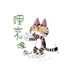 pipi cat（個別スタンプ：35）