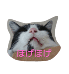 ティトゥーと弟妹（個別スタンプ：3）