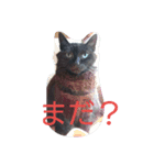 ティトゥーと弟妹（個別スタンプ：7）