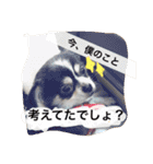 オレオくんの日常で使えるスタンプ（個別スタンプ：1）