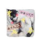 オレオくんの日常で使えるスタンプ（個別スタンプ：3）