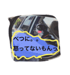 オレオくんの日常で使えるスタンプ（個別スタンプ：5）