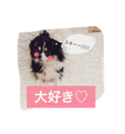 オレオくんの日常で使えるスタンプ（個別スタンプ：8）