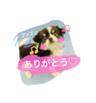 オレオくんの日常で使えるスタンプ（個別スタンプ：17）
