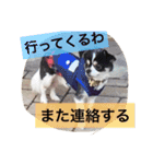 オレオくんの日常で使えるスタンプ（個別スタンプ：21）