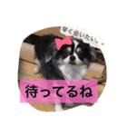 オレオくんの日常で使えるスタンプ（個別スタンプ：22）