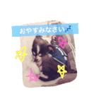 オレオくんの日常で使えるスタンプ（個別スタンプ：24）