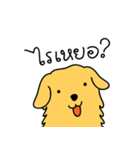 Nong GOLDEN（個別スタンプ：1）