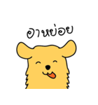 Nong GOLDEN（個別スタンプ：4）