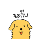 Nong GOLDEN（個別スタンプ：6）