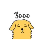 Nong GOLDEN（個別スタンプ：7）