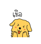 Nong GOLDEN（個別スタンプ：11）