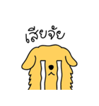 Nong GOLDEN（個別スタンプ：12）