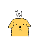 Nong GOLDEN（個別スタンプ：16）