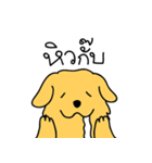 Nong GOLDEN（個別スタンプ：18）