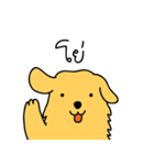 Nong GOLDEN（個別スタンプ：21）
