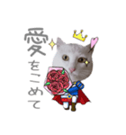 こまふくスタンプ第二弾（個別スタンプ：2）