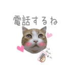 こまふくスタンプ第二弾（個別スタンプ：7）