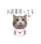 こまふくスタンプ第二弾（個別スタンプ：8）