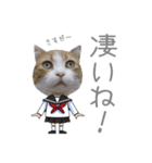 こまふくスタンプ第二弾（個別スタンプ：11）