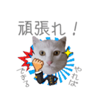 こまふくスタンプ第二弾（個別スタンプ：13）
