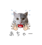 こまふくスタンプ第二弾（個別スタンプ：16）