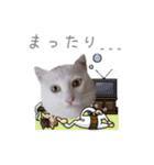 こまふくスタンプ第二弾（個別スタンプ：20）