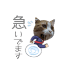 こまふくスタンプ第二弾（個別スタンプ：22）