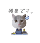こまふくスタンプ第二弾（個別スタンプ：24）