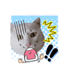 こまふくスタンプ第二弾（個別スタンプ：33）