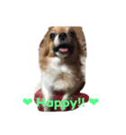 あい ❤︎ ぱぴよん ❤︎ かぞく（個別スタンプ：6）