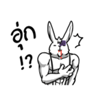 Rabbit-tan（個別スタンプ：11）