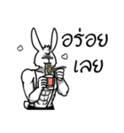 Rabbit-tan（個別スタンプ：13）