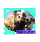 ラム＆ティンク（個別スタンプ：1）