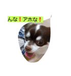 ラム＆ティンク（個別スタンプ：6）