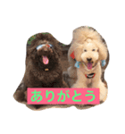 しあわせで〜すたんぷぅ（個別スタンプ：3）